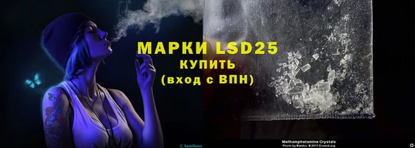 spice Богородицк