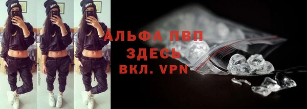 spice Богородицк