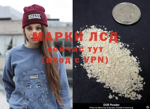 a pvp Беломорск