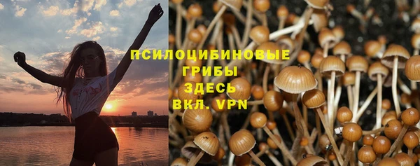 spice Богородицк