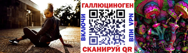 OMG tor  Барыш  Псилоцибиновые грибы Psilocybe 