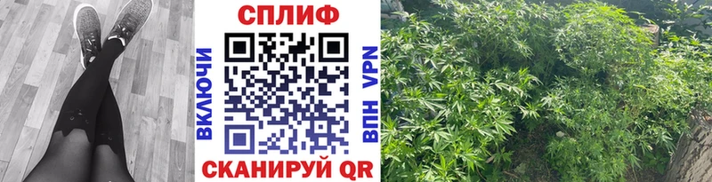 купить закладку  Барыш  блэк спрут зеркало  Конопля тримм 